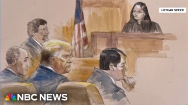 Judge hears arguments on motions to dismiss Trump classified documents charges