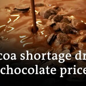 Chocolate prices soar this Easter | DW News