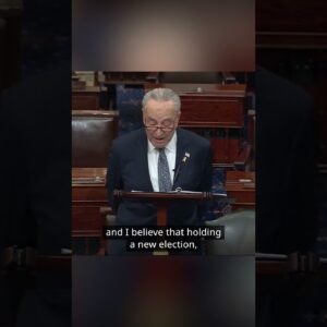 Chuck Schumer calls for new elections in Israel | DW News