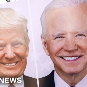 Voters being called ‘double haters’ may determine the outcome of the presidential election