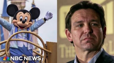 Disney and DeSantis allies reach settlement in special district fight