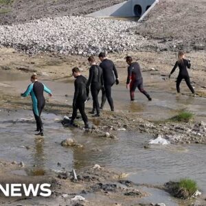 Search continues for Texas college student one week after disappearance