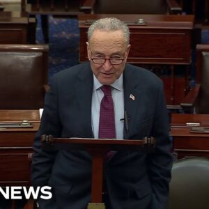 Schumer condemns Trump for claiming Jews who vote for Democrats hate Israel