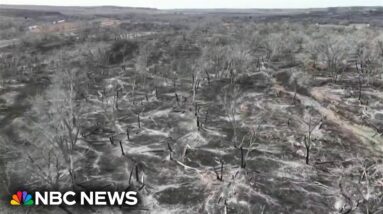 Firefighters battle another Texas wildfire