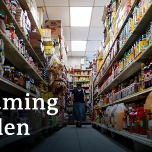 How food insecurity could impact Biden's reelection campaign | DW News