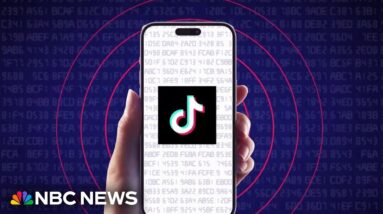 Many U.S. officials call TikTok a national security threat