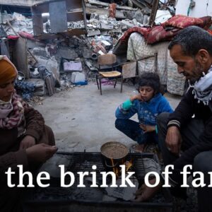 UN says Gaza famine is imminent as US warns Israel about Rafah ground offensive | DW News