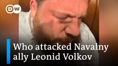 Close ally of Navalny Leonid Volkov reportedly assaulted with tear gas and hammer | DW News