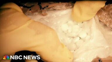Officials: Scanners go unused in fentanyl smuggling fight