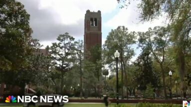 University of Florida cuts all DEI roles across campus