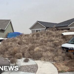 WATCH: Tumbleweed invades Utah neighborhood