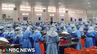 American whistleblower files complaint against India shrimp processing plant
