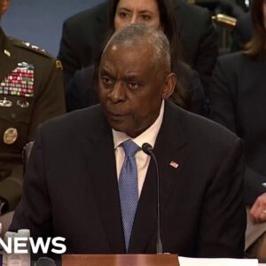 Austin: 'We don't have any evidence' of Israel committing genocide in Gaza