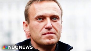 U.S. concludes Putin likely didn’t order Navanly’s death but ‘not absolving’ him of responsibility