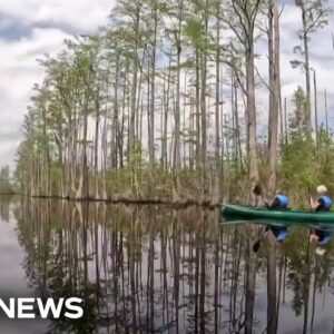 Environmentalists warn of threat to famed Okefenokee Swamp
