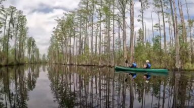 Environmentalists warn of threat to famed Okefenokee Swamp