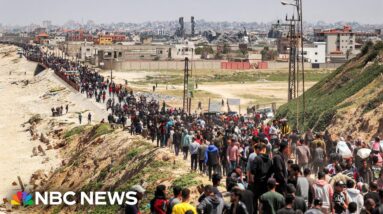 Safety for aid in Gaza is an ‘ongoing problem,’ says humanitarian executive
