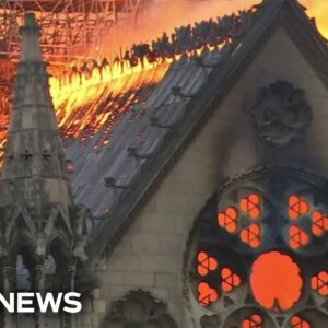 An American in Paris: the carpenter from New England helping rebuild Notre Dame Cathedral