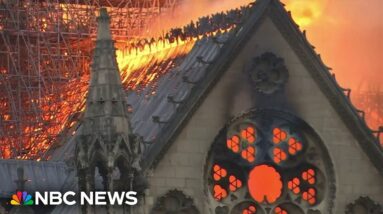 An American in Paris: the carpenter from New England helping rebuild Notre Dame Cathedral