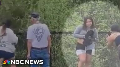 Officials: No criminal charges in caught-on-camera case of black bear cubs pulled from tree