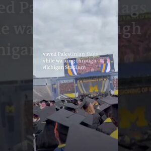 Pro-Palestinian protesters disrupt ceremony at Michigan Stadium | DW Shorts