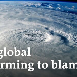 Are rising temperatures fueling ALL extreme weather? | DW News