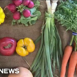 Fresh produce program helps promote better health in food-insecure communities