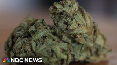 Potential negative effects of easing marijuana restrictions