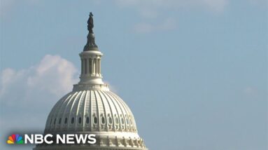 Schumer says he'll reintroduce bipartisan border bill