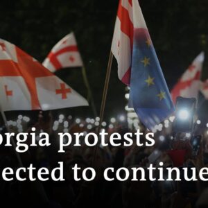 Who is behind Georgia's controversial new media law? | DW News