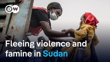 Human rights groups say they have evidence that genocide is taking place in Sudan | DW News