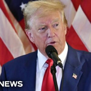 Georgia appeals court halts election interference case against Trump