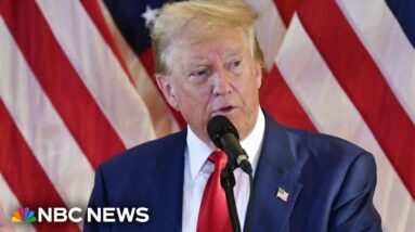 Georgia appeals court halts election interference case against Trump