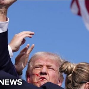 How the attempted assassination of Trump could impact the future of campaigns: Full panel