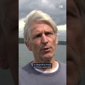 Can this plastic eating fungus help tackle humanity's waste crisis? | DW News