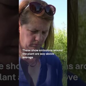 BYD aims to become Europe’s largest EV maker | DW Business