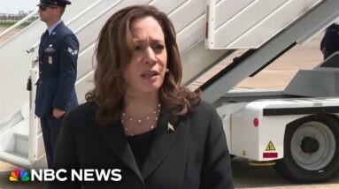 'Their horrible ordeal is over': VP Harris celebrates release of American prisoners from Russia