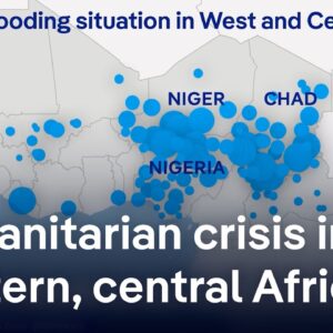 Floods displace hundreds of thousands in central and western Africa | DW News