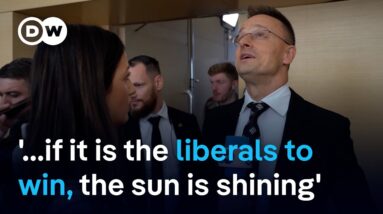 Georgia FM: 'If the conservatives win, there is usually a systematic problem with democracy...'