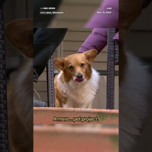 Cleaning up after your dog could get easier with one software engineer’s invention: The poop copter.