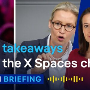 Why Elon Musk hosted far-right AfD co-leader Alice Weidel | Berlin Briefing Podcast
