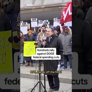 Hundreds rally against DOGE federal spending cuts