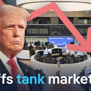 Can Europe find the upside to a global trade war? | DW News