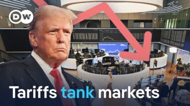 Can Europe find the upside to a global trade war? | DW News