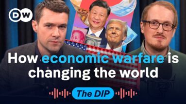 China's secret weapon to dodge the dollar's influence | The Dip Podcast