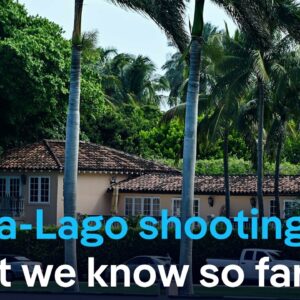 Mar-a-Lago shooting: How political polarization fuels lone‑actor violence | DW News