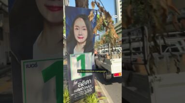 Thailand’s election shocker | DW News