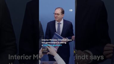 The German government's position on the Epstein Files | DW News